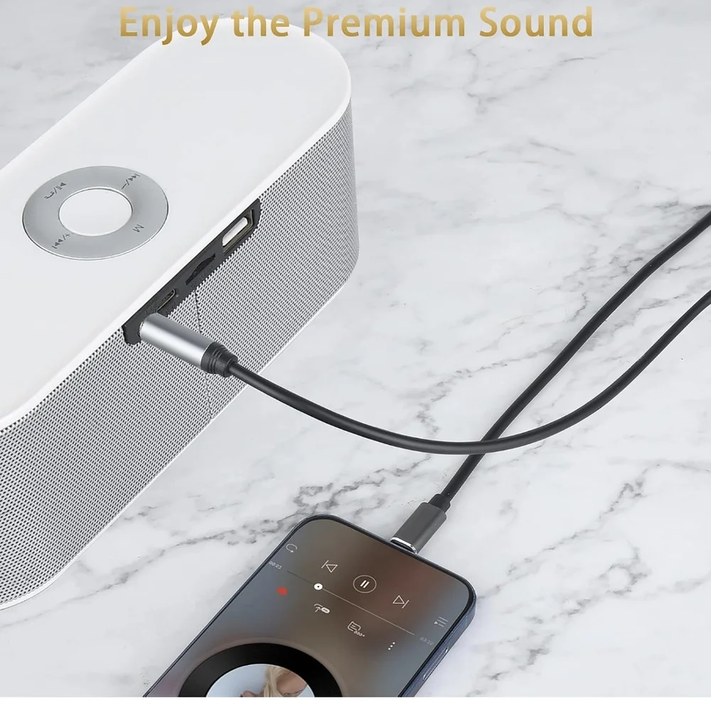 Black and Silver Audio Cable
